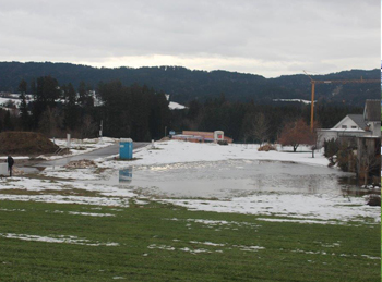 Wasserfläche in der Wiese